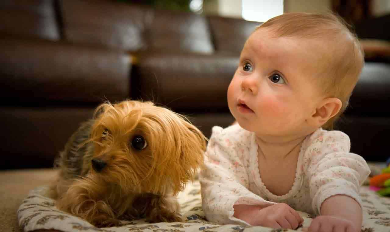 I benefici di avere un amico a quattro zampe per i bambini